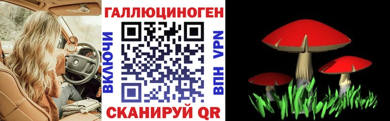 Псилоцибиновые грибы Psilocybe  площадка Telegram  Обнинск  как найти закладки 
