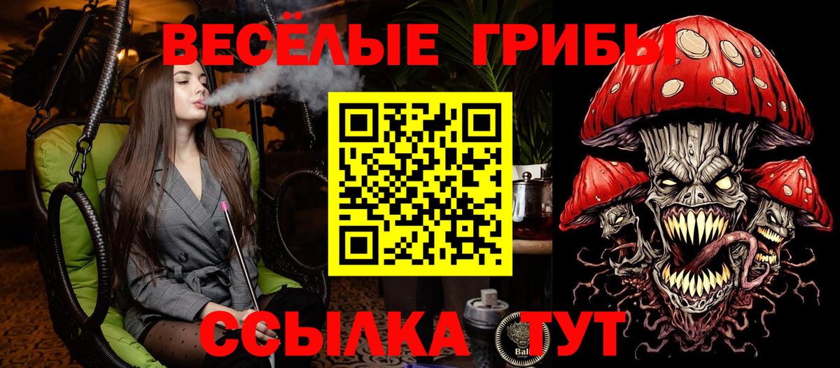 купить  цена  Галлюциногенные грибы Cubensis  Вход с VPN  Обнинск 